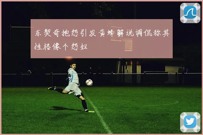 东契奇抱怨引发黄蜂解说调侃称其性格像个怨妇