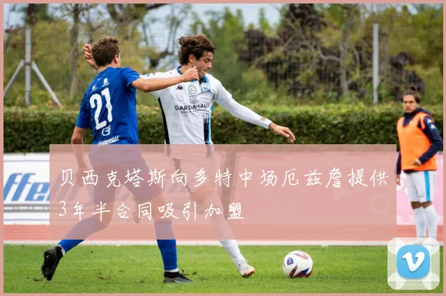 贝西克塔斯向多特中场厄兹詹提供3年半合同吸引加盟