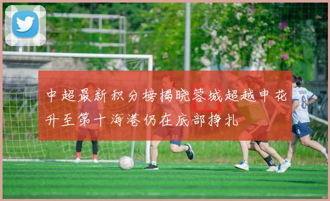 中超最新积分榜揭晓蓉城超越申花升至第十海港仍在底部挣扎
