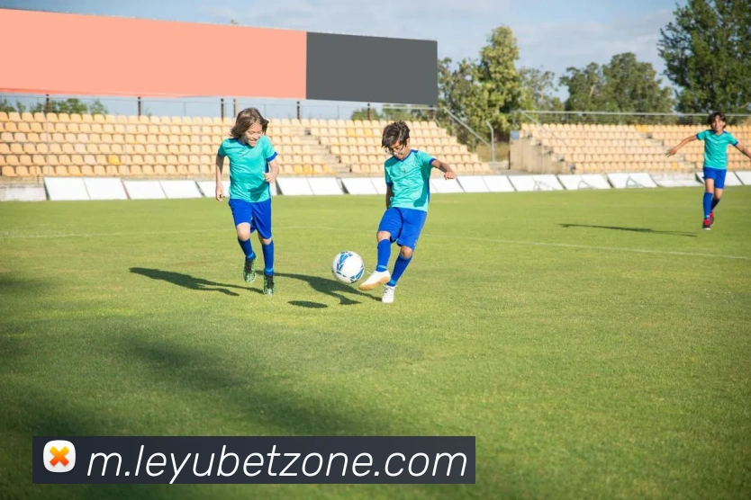 App Interface Preview